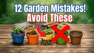 12 Container Gardening Mistakes I Made (Avoid These Beginner Fails!)
