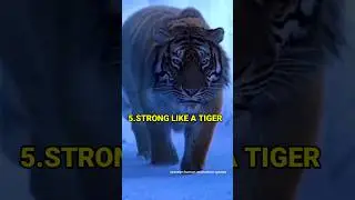 6 HABITS TO LEARN FROM ANIMALS 🔥 | Motivation quotes | life lessons | #motivation #shorts #status