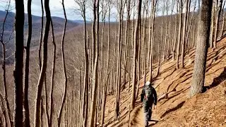 GA Appalachian Trail: Dicks Creek Gap to Blue Ridge Gap