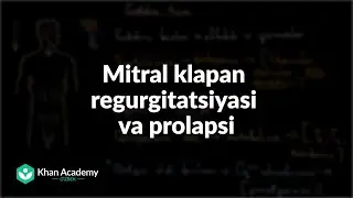 Mitral klapan regurgitatsiyasi va prolapsi | Tibbiyot