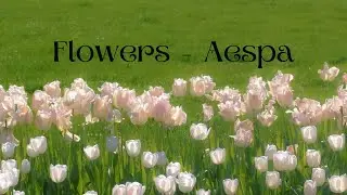 [VIETSUB/LYRICS] Flowers - aespa
