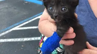 Archie Reunites With Family From Emergency Vet