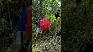 Baito Falls 1, 2, 3 and 4