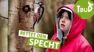 Baumbewohner (Folge 107) | Tiere bis unters Dach