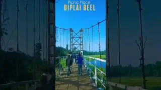 Diplai all freind