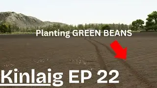 Planting the Green Beans And Castle Update - Kinlaig Ep 22