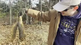 fall 2025 Missouri Squirrel Hunting
