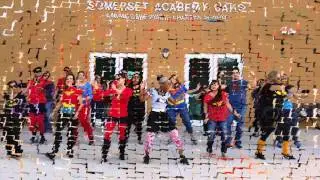 Somerset FSA 2016