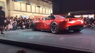 RX-VISION