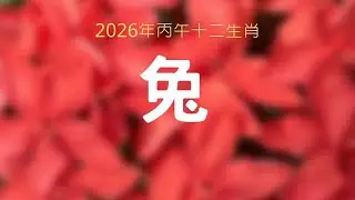4 肖兔 (破太歲) - 吉星：天喜、天德、福星、八座。凶星：捲舌、絞煞、咸池。