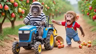 🔥🐒 Monkey NaNa Guava Harvest Turns Into Chaos! He Spots a Farm Thief and Starts a Wild Chase! 🍐🚨💥