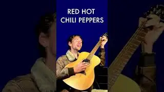Otherside   Red Hot Chili Peppers #shorts #guitar #riff #rhcp #redhotchilipeppers #live #acousticgui