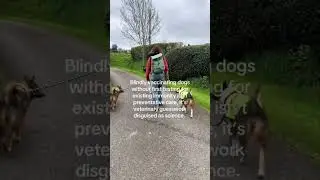 Are We Over-Vaccinating Our Dogs?
