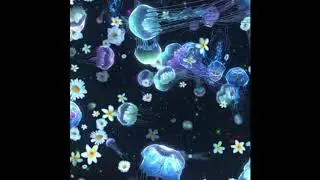 jiinko - 꿈과꿈 (audio)