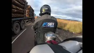 Biker Dog wears Rukka