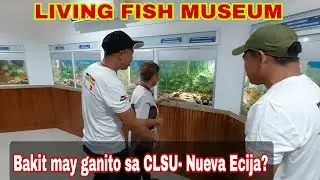 Living Fish Museum sa CLSU- Nueva Ecija? Wow Na Gulat Kami sa Loob!