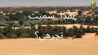 لمذا سمية  