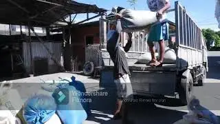 Tara pakiskis natin ang palay para maging bigas (Vlog#017) | Ka Primo TV