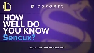 The Teammate Test: How Well Do You Know Sencux?