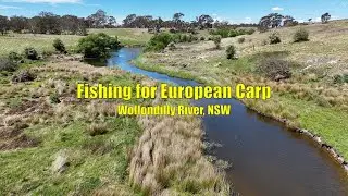 Fishing for European Carp - Wollondilly River, NSW