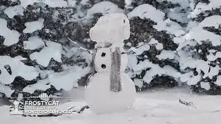 Frostycat - Glide (LoFi Mix) [Monstercat Remake] (2024)