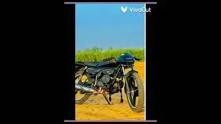Top 5 family bike