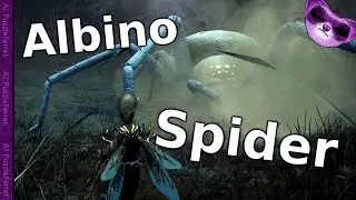 Fighting the Albino Spider Boss! - Smalland Ep19