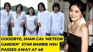 Goodbye, Shan Cai: &lsquo;Meteor Garden&rsquo; Star Barbie Hsu Passes Away at 48