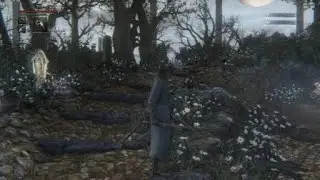 A instabilidade mental causada devido a muito tempo em Bloodborne.