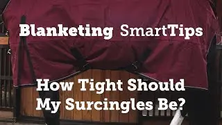 Horse Blanketing SmartTip: How Tight Should My Surcingles Be?