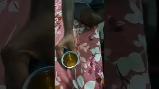consumption style of tonics