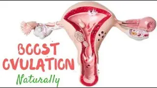 Sex Tips: Natural Home Remedies To Boost Ovulation And Fertility ( How to Reverse Infertility )