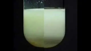 Testing for Halide ions