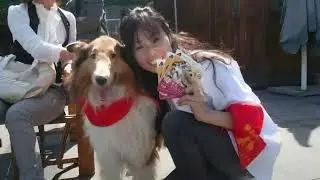 World Animal Day in China