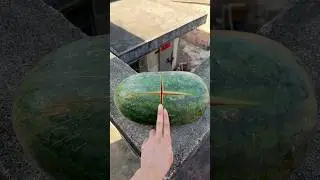 Experiment: Will a watermelon explode if it rolls down a tall building? 🍉💥#watermelon #shorts