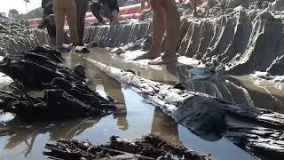 Archaeologists investigate possible shipwreck unearthed at Daytona Beach Shores