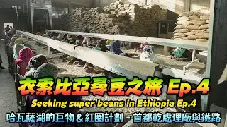 衣索比亞尋豆之旅 Ep.4 -  Hawassa 哈瓦薩湖的巨物 & 紅圈計劃 - 首都乾處理廠與鐵路