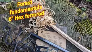 FOREST FUNDAMENTALS 6