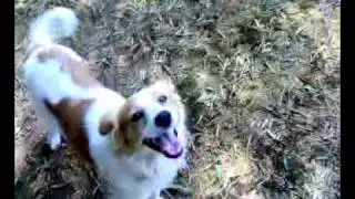 gioki cn il mio amor.mp4