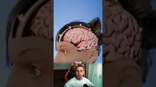 СКОЛЬКО ЛИТРОВ ВОДЫ МОЖЕТ ВЫПИТЬ ЧЕЛОВЕК?! #shorts
