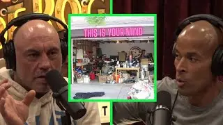 JOE ROGAN: why CLUTTERED MIND is your BIGGEST ENEMY🤔🤔 #joerogan #jre #davidgoggins