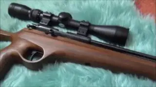 Falcon FN12 Lighthunter