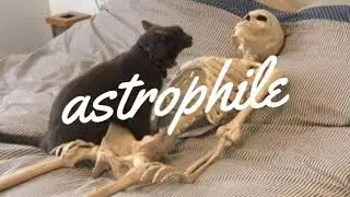 𝙬𝙞𝙨𝙝 𝙮𝙤𝙪 𝙬𝙚𝙧𝙚 𝙨𝙤𝙗𝙚𝙧 ➸ 𝘤𝘰𝘯𝘢𝘯 𝘨𝘳𝘢𝘺 (slowed)