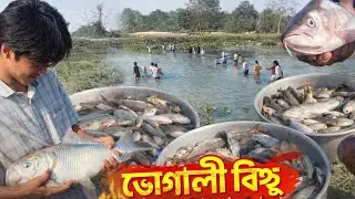 পুৰ্ব পুৰুষৰ দিনৰ পৰা চলি অহা আমাৰ গাঁৱত ভোগালী বিহুত মাছ মৰাৰ এটা পৰম্পৰা