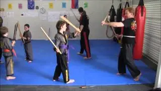 Cobra - Eskrima Kali Arnis