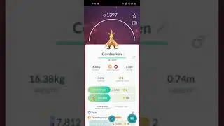 Combusken evolve in to Blaziken || FAV pokemon Shots