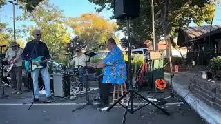 Margaritaville cover Street Kickers band at Jacks Brewery Fremont
