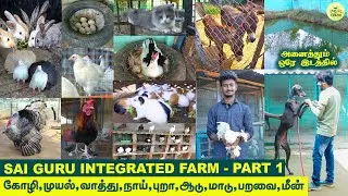 அனைத்தும் ஒரே இடத்தில் | ஒருங்கிணைந்த பண்ணை | sai guru integrated farm | Part 1 | Vlog Tamizha