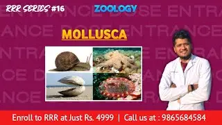 Mollusca Complete with QADs