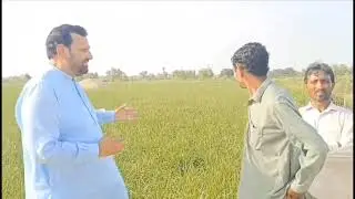 آؤ مل۔۔۔ کر پیداوار بڑھائیں!        Aziz Group Of Companies